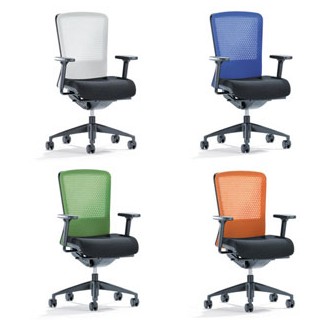 Dieter Stierli Folio Swivel Chair