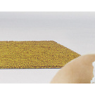 Liset Van Der Scheer Giro Carpet