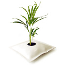 Martino D'Esposito Grow Bag