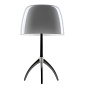 Rodolfo Dordoni Lumiere Lamp