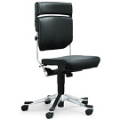 Animos & Partner Giroflex 33 Chair