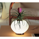 Giovanni D'Ambrosio Biosfera Lamp
