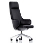 Antonio Citterio Skape Chair