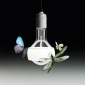 Ingo Maurer Johnny B. Butterfly