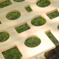 Solisombra Kubic Screen
