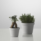 Thomas Bernstrand Out Side In Flower Pot